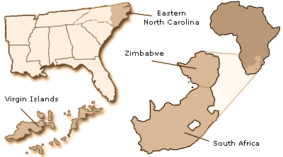thm-img